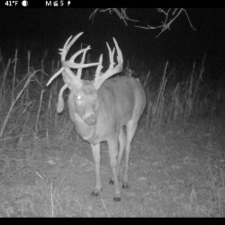 Xtreme Hunts - In the Heart of the Golden Triangle- Pike County