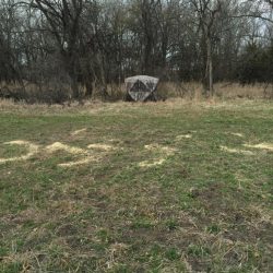 One of our Kansas turkey blind setups