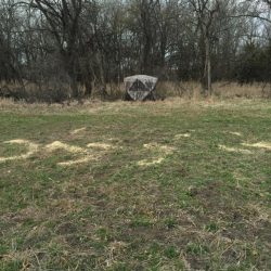 One of our Kansas turkey blind setups