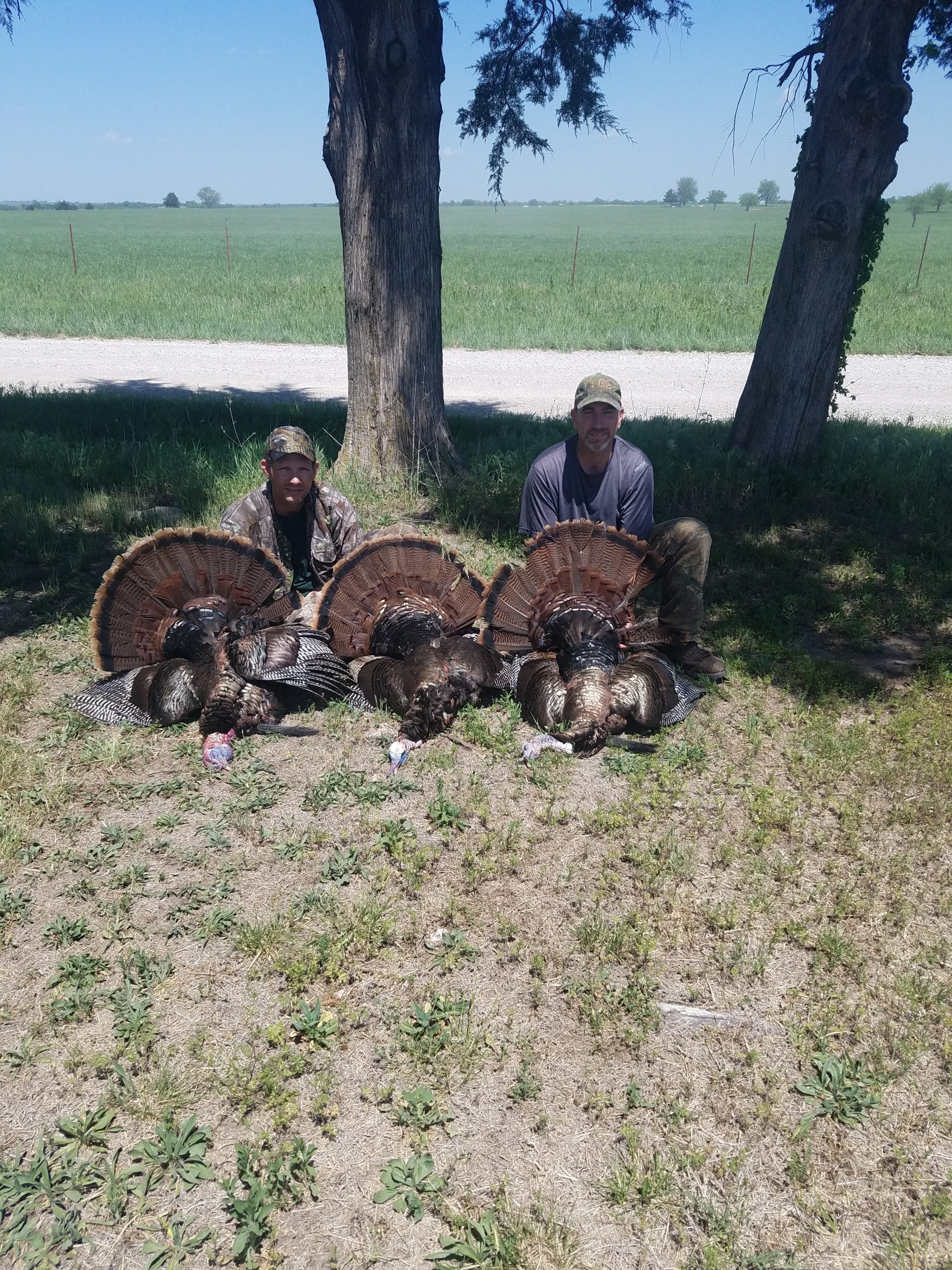 Turkey Hunts in Kansas